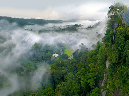 Danum Valley, Sabah, Borneo