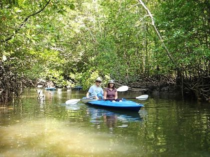 Mangrove kajak på Langkawi