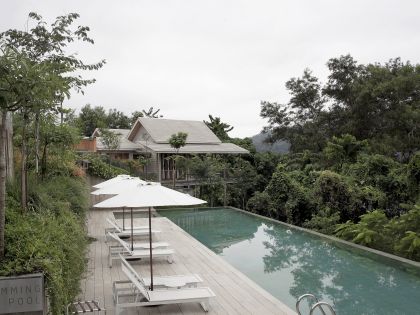 Swimming pool ved Belum Rainforest Resort