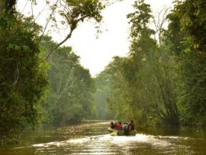 Cruise ved Sukau Kinabatangan-floden