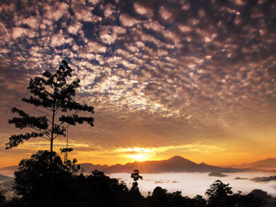 Solnedgang ved Borneo Rainforest Lodge, Danum Valley