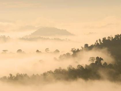 Borneo Rainforest Lodge - Danum Valley