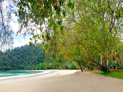 Strand ved Bunga Raya Island Resort