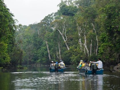 Cruise på Kinabatangan-floden