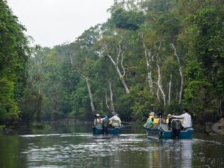 Cruise på Kinabatangan flode