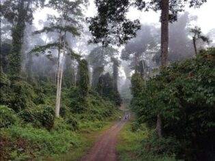 Danum Valley trekking