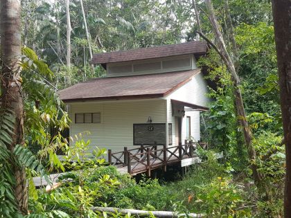 Chalet, Kinabatangan Wetlands Resort