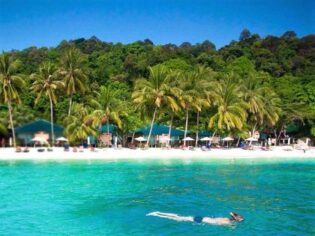 Snorkling ved Tuna Bay Island Resort