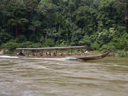 Long Tail Boat Taman Negara