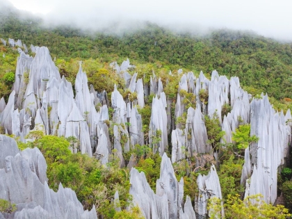 Pinnacles i Mulu National Park