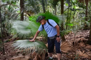 Guide ved Padang Tujung, Rompin