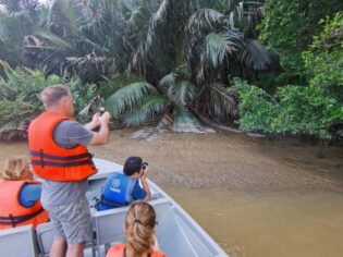 Flod-cruise ved Kinabatangan-floden