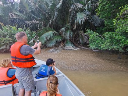 Flod-cruise ved Kinabatangan-floden