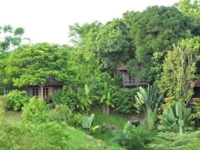 Sepilok Forest Edge Resort