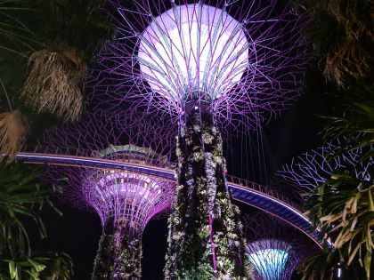 Lysshow ved Gardens by the Bay