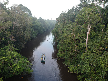 Cruise Kinabatangan River