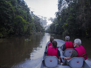 Kinabatangan flod-cruise