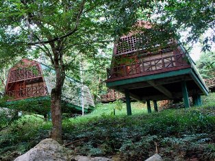 Cabin ved Tabin Wildlife Resort