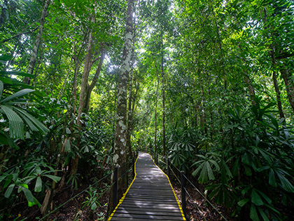 Natursti ved Abai Jungle Lodge