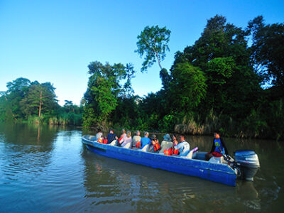 Flodecruise på Kinabatangan-floden