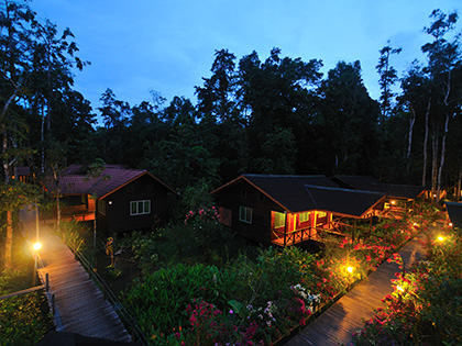 Abai Jungle Lodge om aftenen