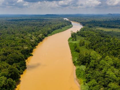 Kinabatangan-floden, Borneo