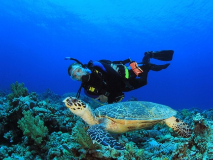 Dykker med havskildpadde på Borneo
